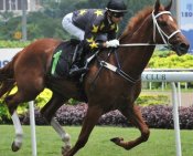 Totality<br>Photo by Singapore Turf Club